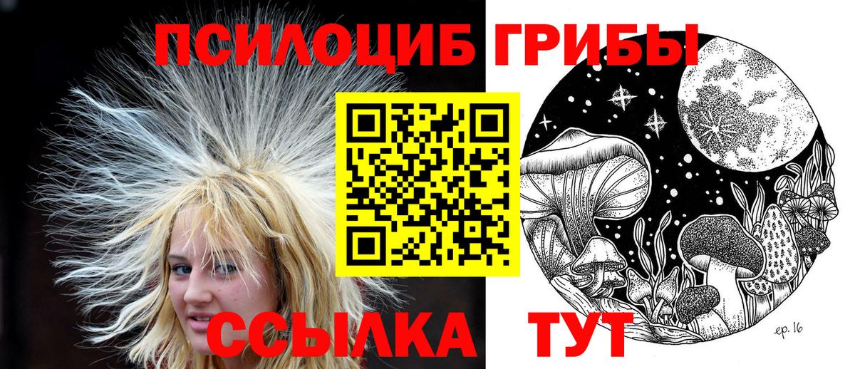 Калач-на-Дону  Галлюциногенные грибы Psilocybine cubensis  Вход с VPN 